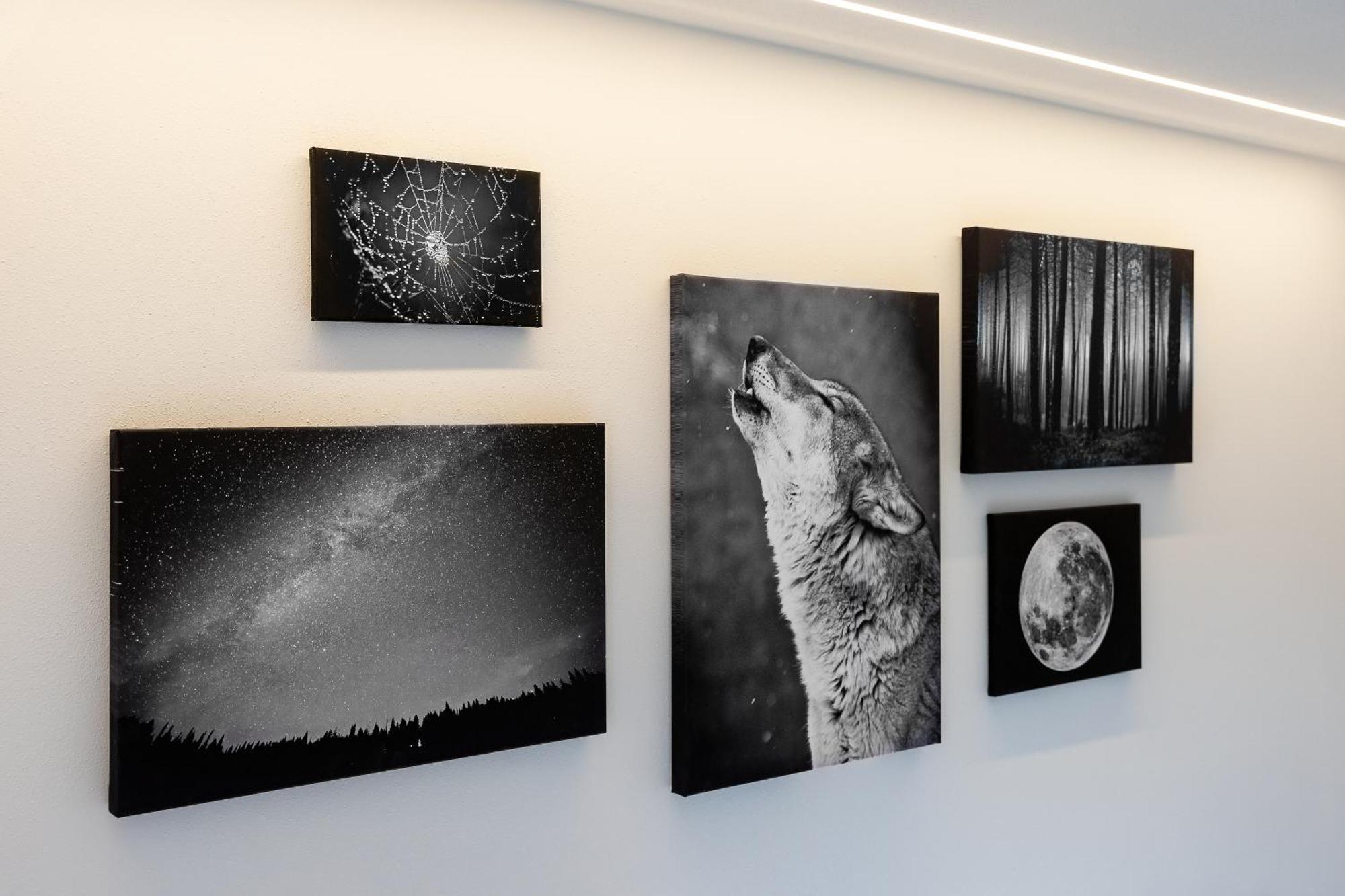 B&B Al Lupo Solitario Segonzano Dış mekan fotoğraf